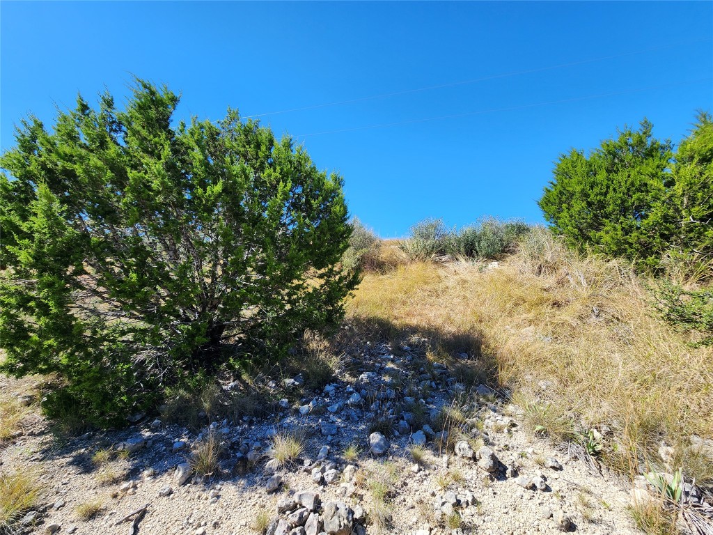 Lot 74 Bluff View Road Kempner, TX 76539 - Photo 4 of 37 a view of a yard with plants and tree