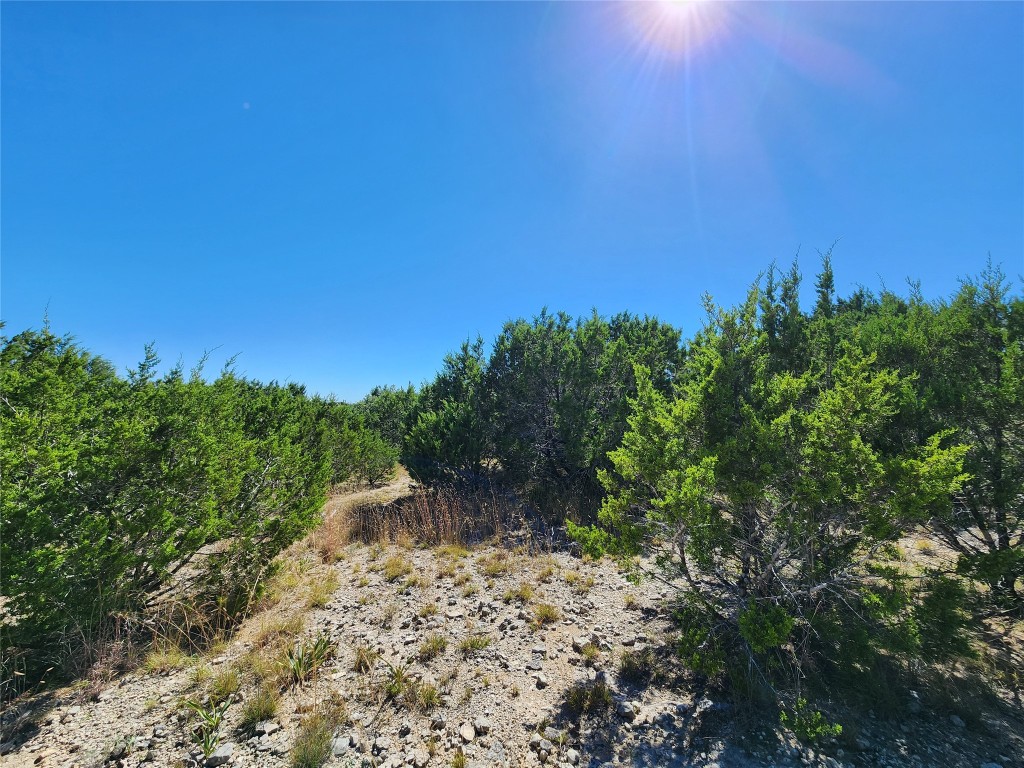 Lot 74 Bluff View Road Kempner, TX 76539 - Photo 6 of 37 a big yard with lots of green space