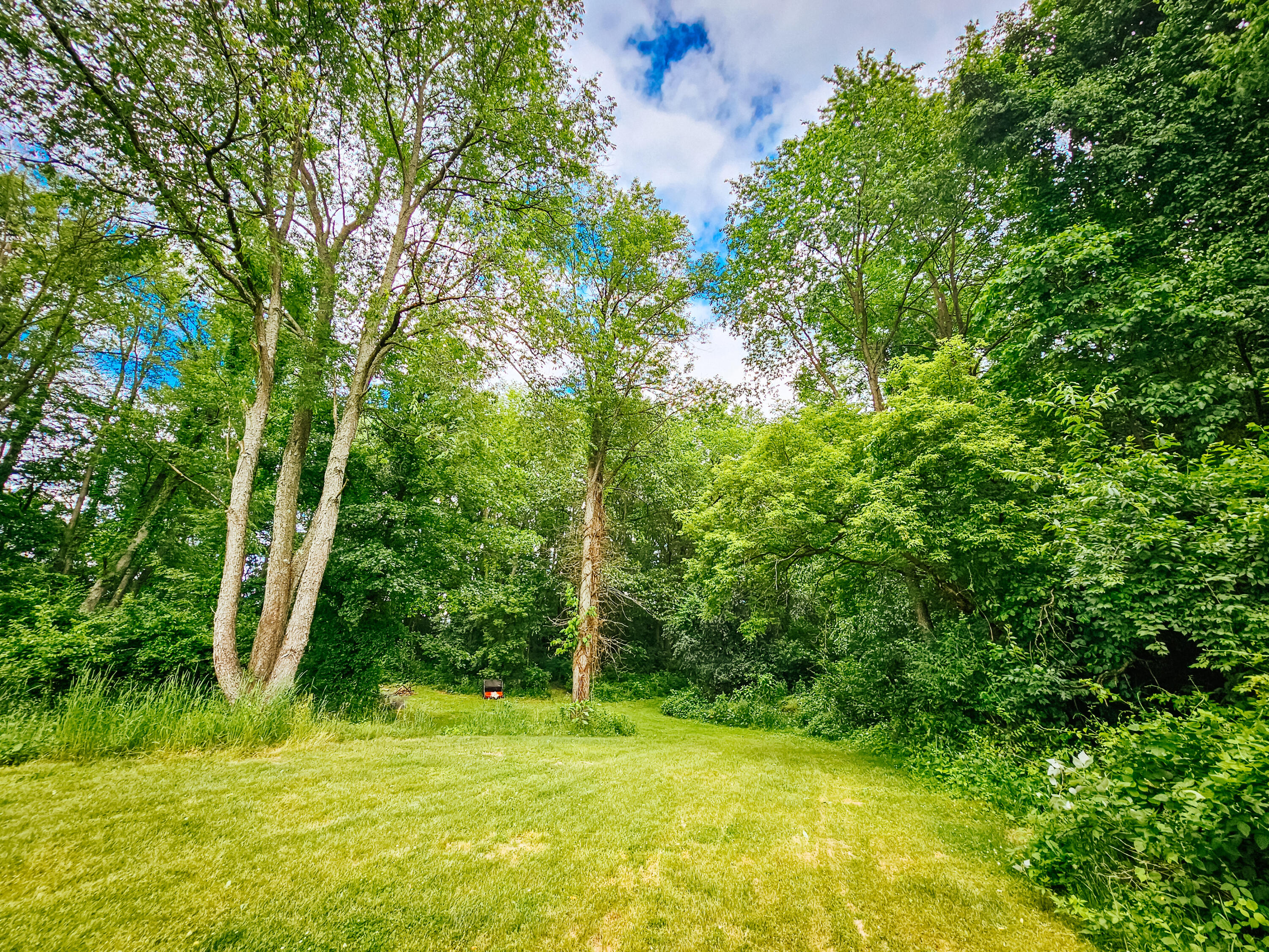 8271 Thorne Road Horton, MI 49246 - Photo 54 of 79 20240607_154439