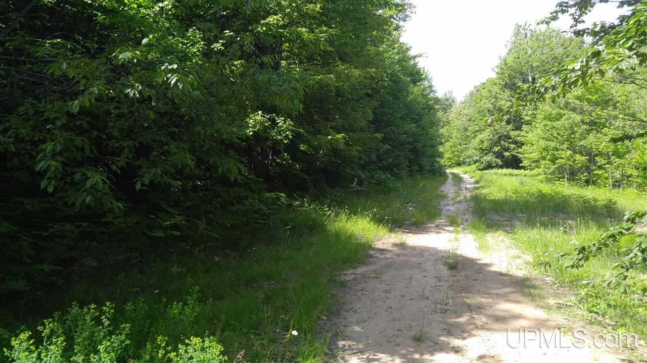 33-acres Sigar Camp Road Seney, MI 49883 - Photo 1 of 22