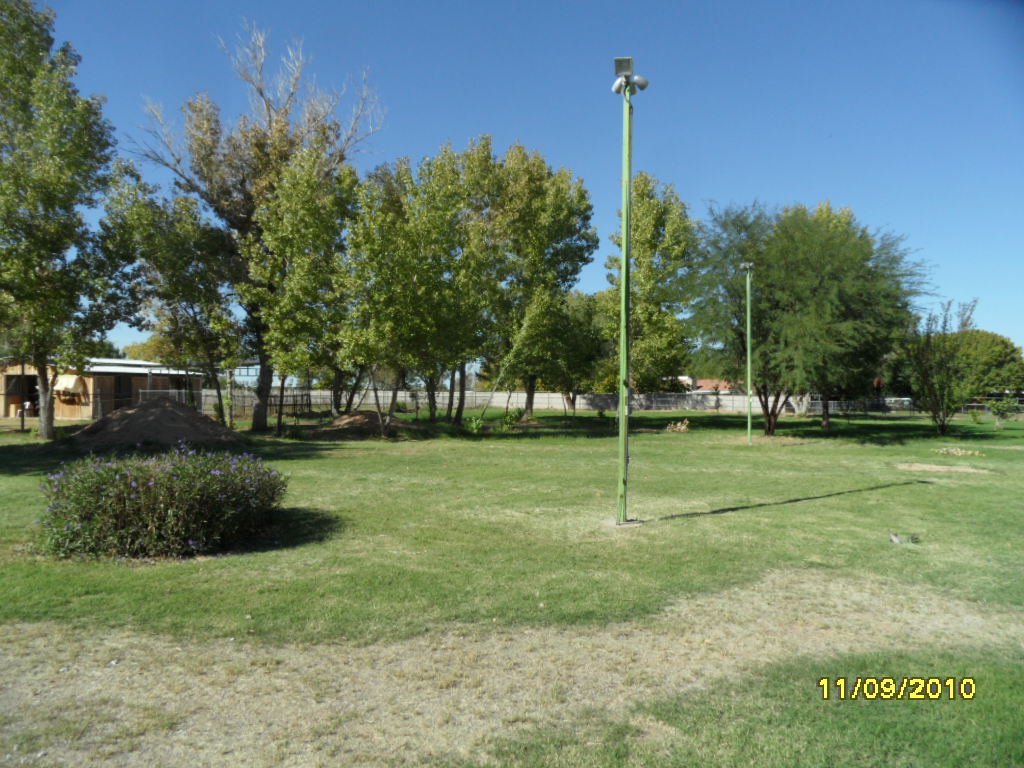 3702 East Vineyard Road Phoenix, AZ 85042 - Photo 13 of 18 3702 E VINEYARD RD