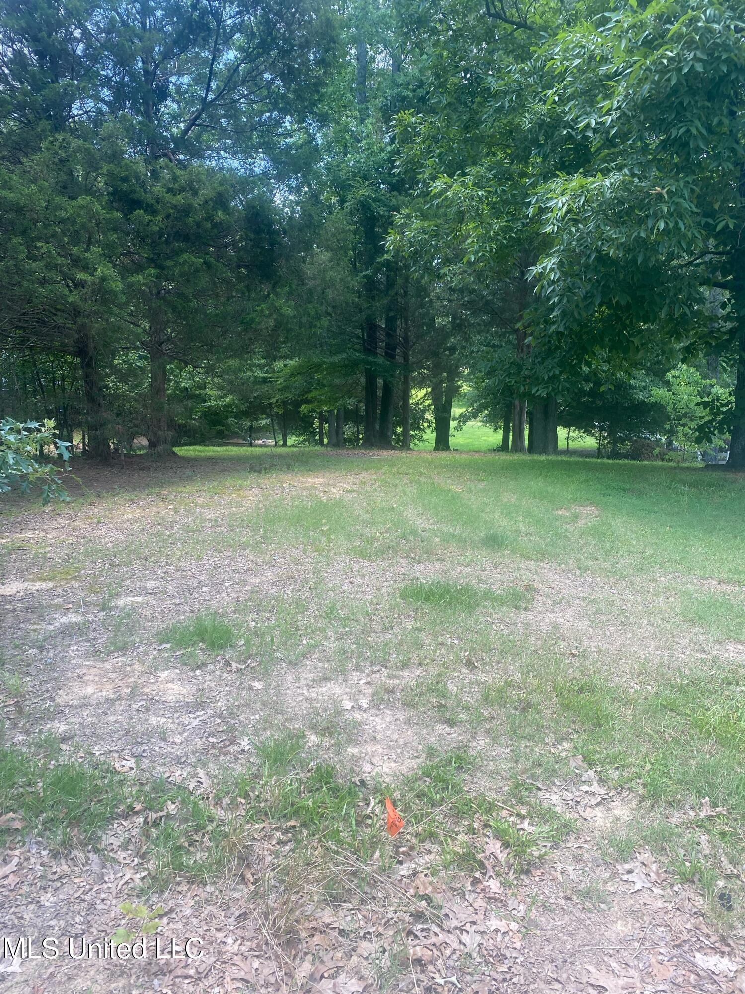 8 Jaybird Road Hernando, MS 38632 - Photo 2 of 3 Lot2