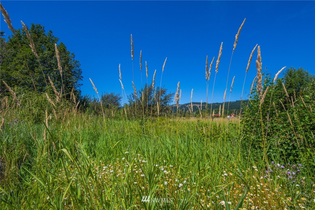 Three Lakes Road Cle Elum, WA 98922 - Photo 8 of 9 Gallery Image 8
