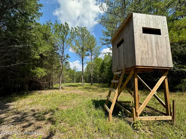 $135,000 | 5 Forest Service Road 562, Pulaski, MS 39152