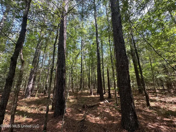 $135,000 | 5 Forest Service Road 562, Pulaski, MS 39152