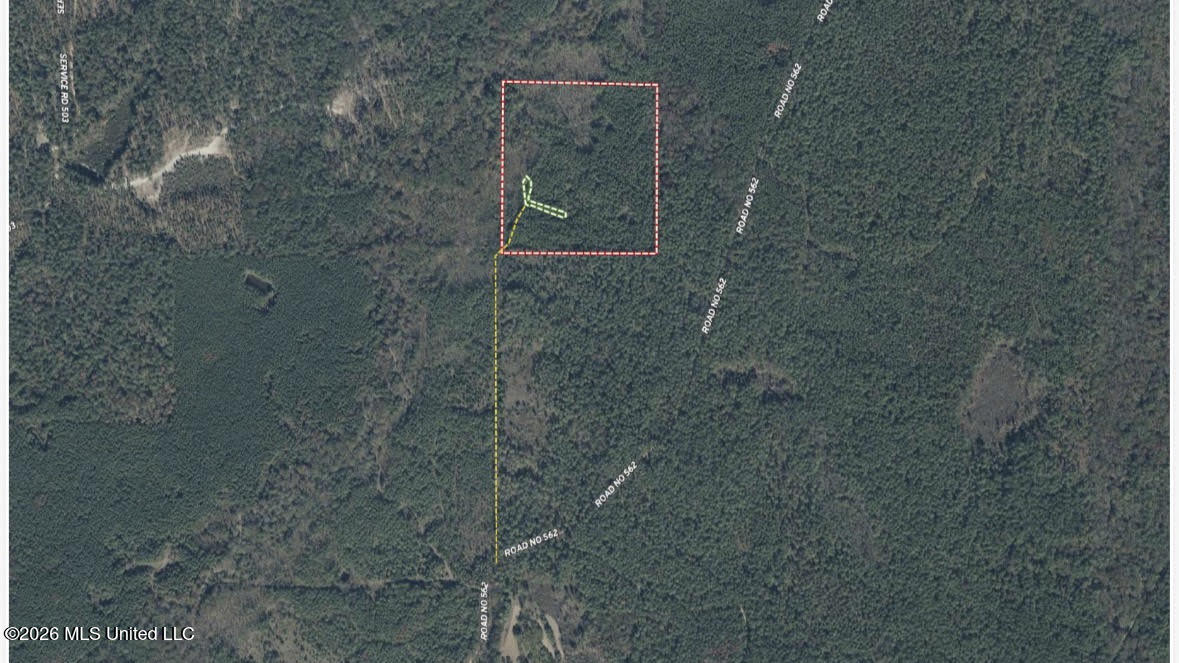 5 Forest Service Road 562 Pulaski, MS 39152 - Photo 14 of 19 503