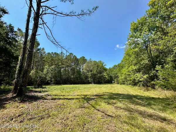 $135,000 | 5 Forest Service Road 562, Pulaski, MS 39152