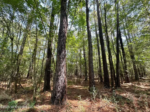 $135,000 | 5 Forest Service Road 562, Pulaski, MS 39152