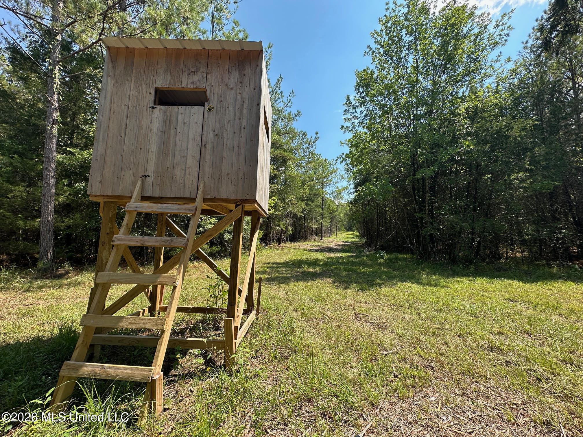 5 Forest Service Road 562 Pulaski, MS 39152 - Photo 10 of 19 244