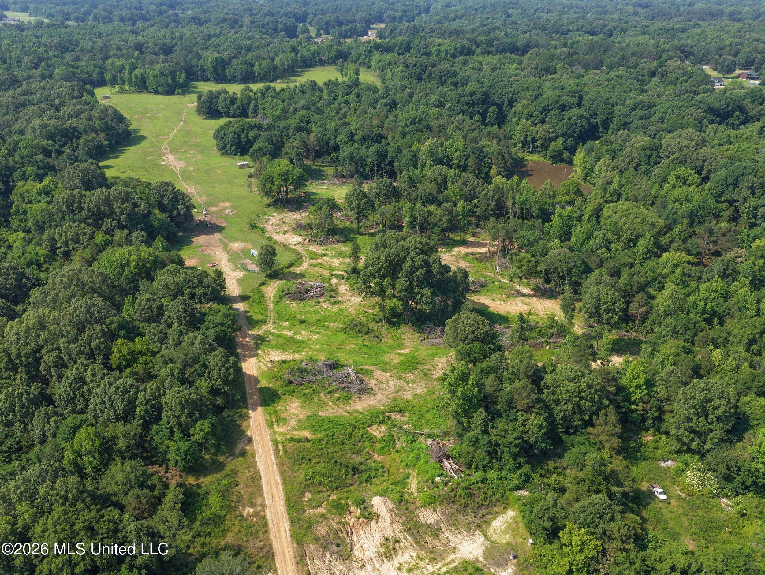 2169 Slocum Road Hernando, MS 38632 - Photo 13 of 94 5slcm4