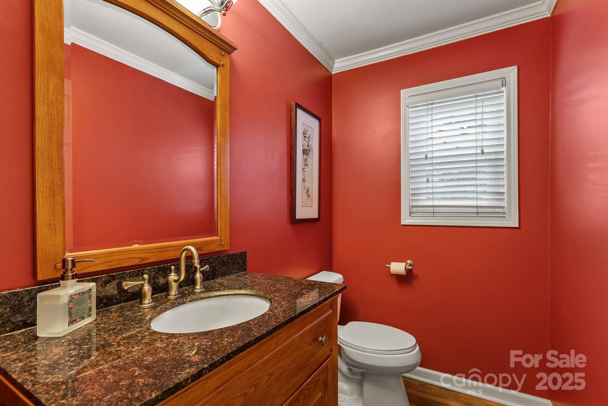 41 Glen Cove Road Arden, NC 28704 - Photo 18 of 39 a bathroom with a granite countertop toilet a sink and a mirror