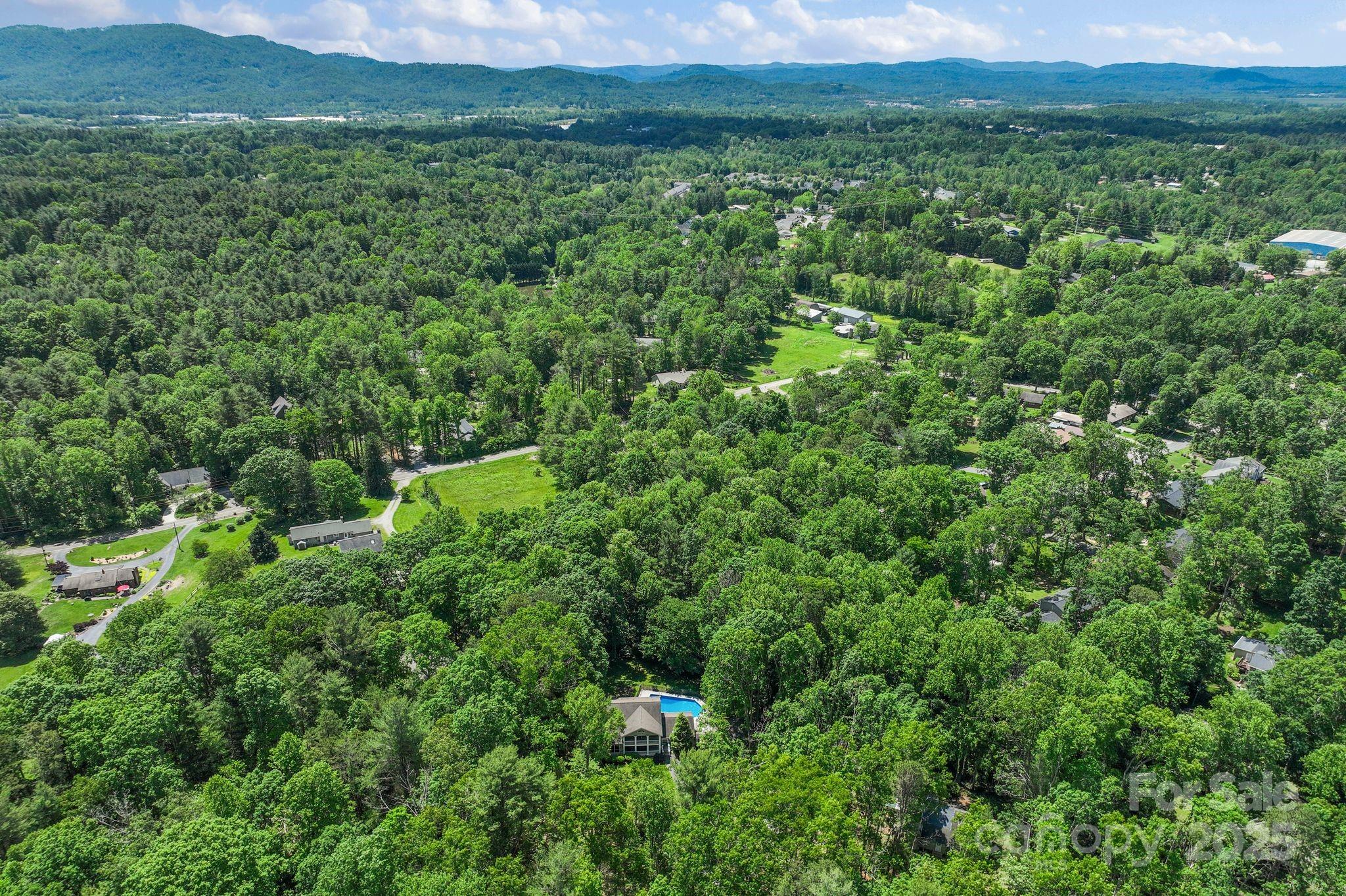 41 Glen Cove Road Arden, NC 28704 - Photo 37 of 39 a view of a lush green forest with lots of trees