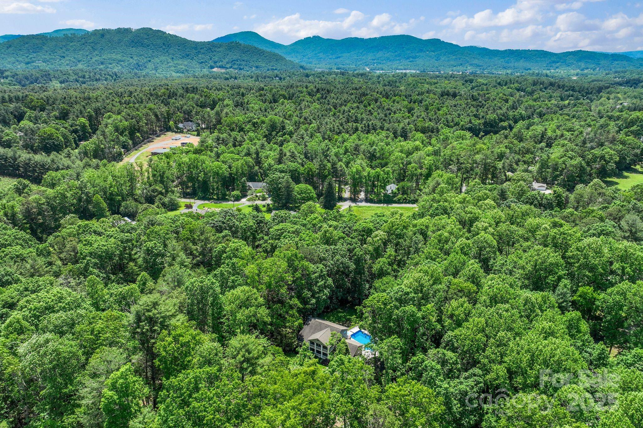 41 Glen Cove Road Arden, NC 28704 - Photo 38 of 39 a view of a lush green forest with lush green forest