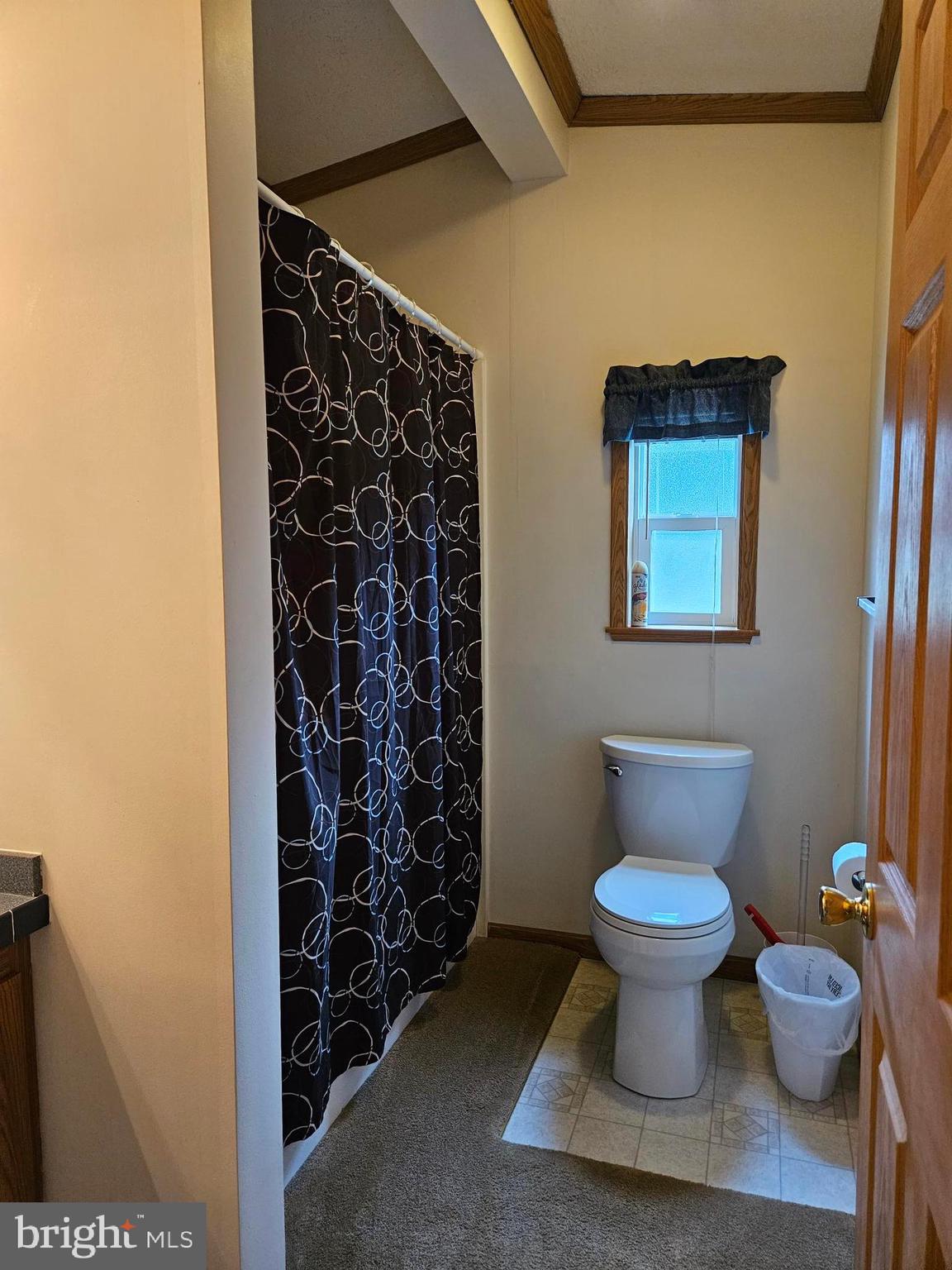 4205 Ridge Crest Road Hurlock, MD 21643 - Photo 16 of 22 Hall bath