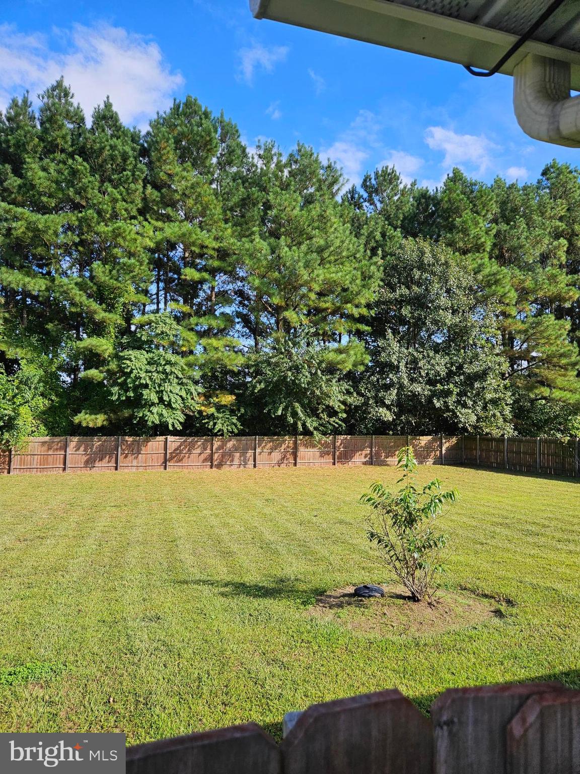 4205 Ridge Crest Road Hurlock, MD 21643 - Photo 19 of 22 Fenced back yard