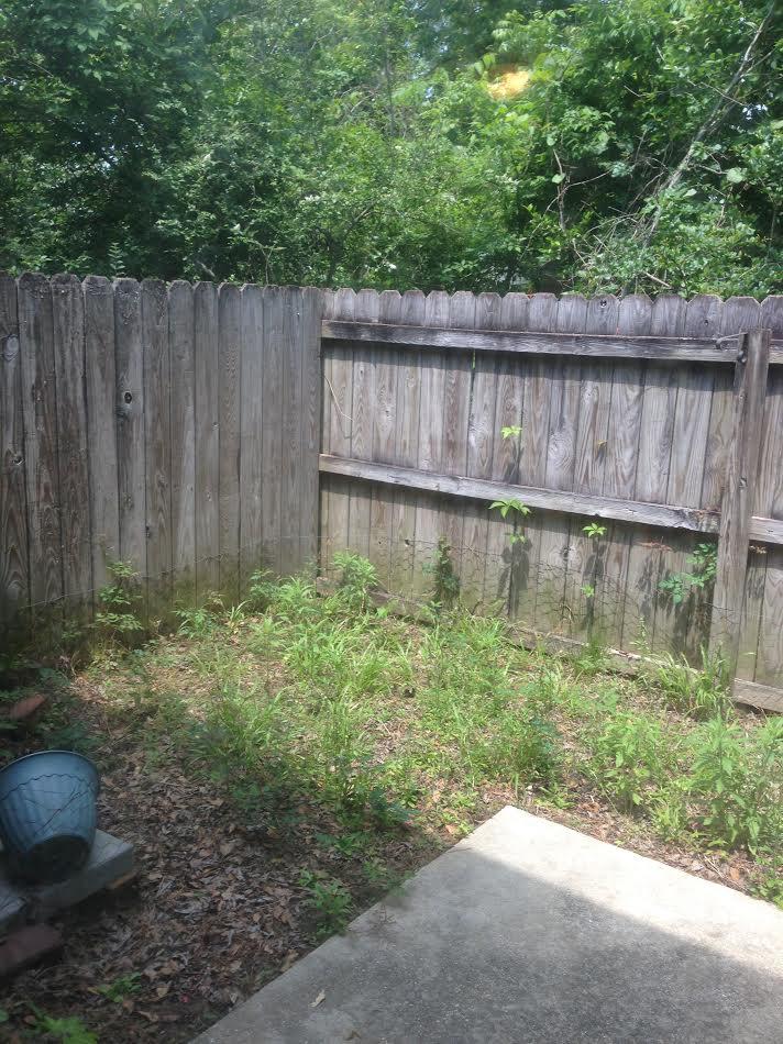 156 Rahway Road, Unit D4 Goose Creek, SC 29445 - Photo 22 of 22 156 fenced back yard 2