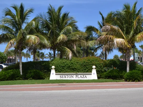 a view of a palm trees in front of a house