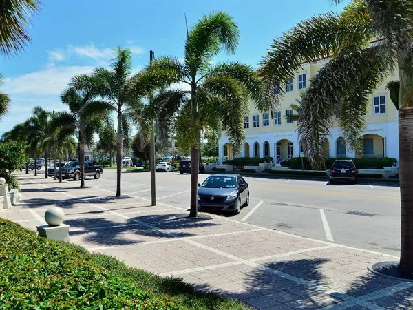 a park view with palm trees