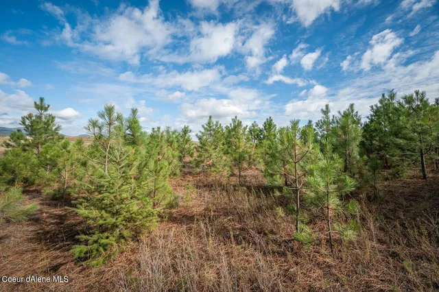 $320,000 | Nka 10-ac Nka 10-ac Becky Lane, Worley, ID 83876