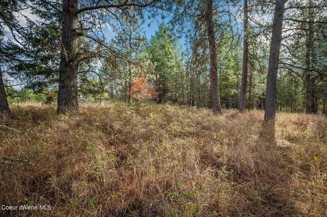 $320,000 | Nka 10-ac Nka 10-ac Becky Lane, Worley, ID 83876