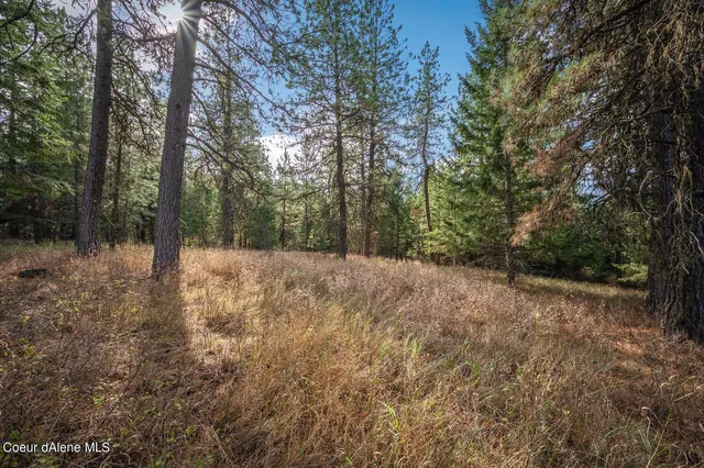 $320,000 | Nka 10-ac Nka 10-ac Becky Lane, Worley, ID 83876