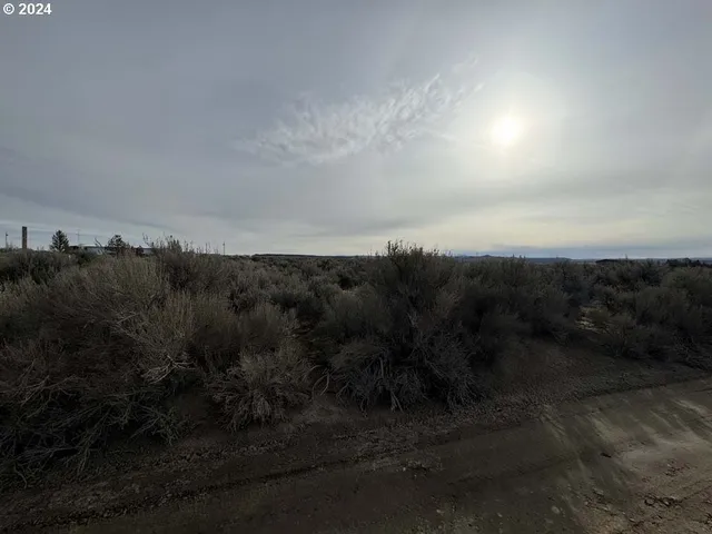 a view of a field of grass and trees