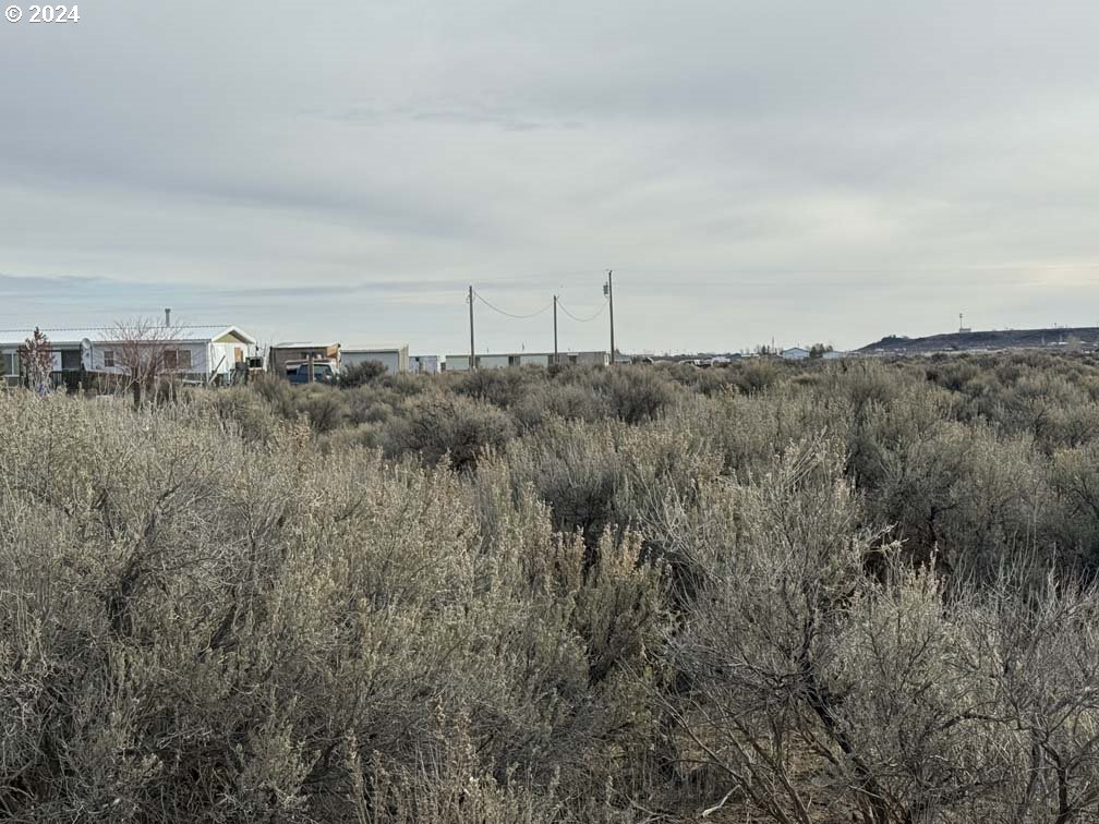 Twighlight Road, Unit TL 4000 Christmas Valley, OR 97641 - Photo 26 of 40 a view of a field of grass and trees