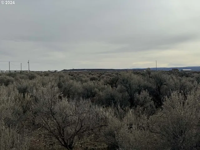 a view of a field with trees in background