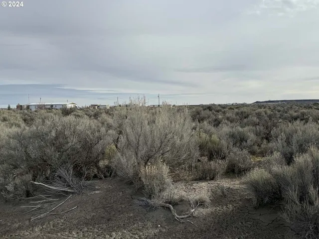 $14,500 | Twighlight Road, Unit TL 4000, Christmas Valley, OR 97641