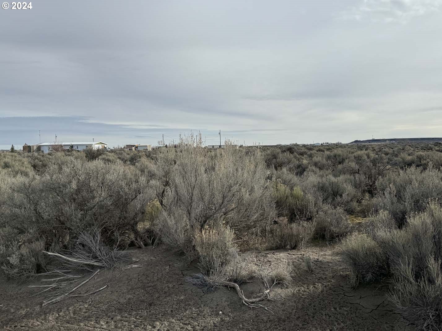 Twighlight Road, Unit TL 4000 Christmas Valley, OR 97641 - Photo 35 of 40 a view of a field with trees in background