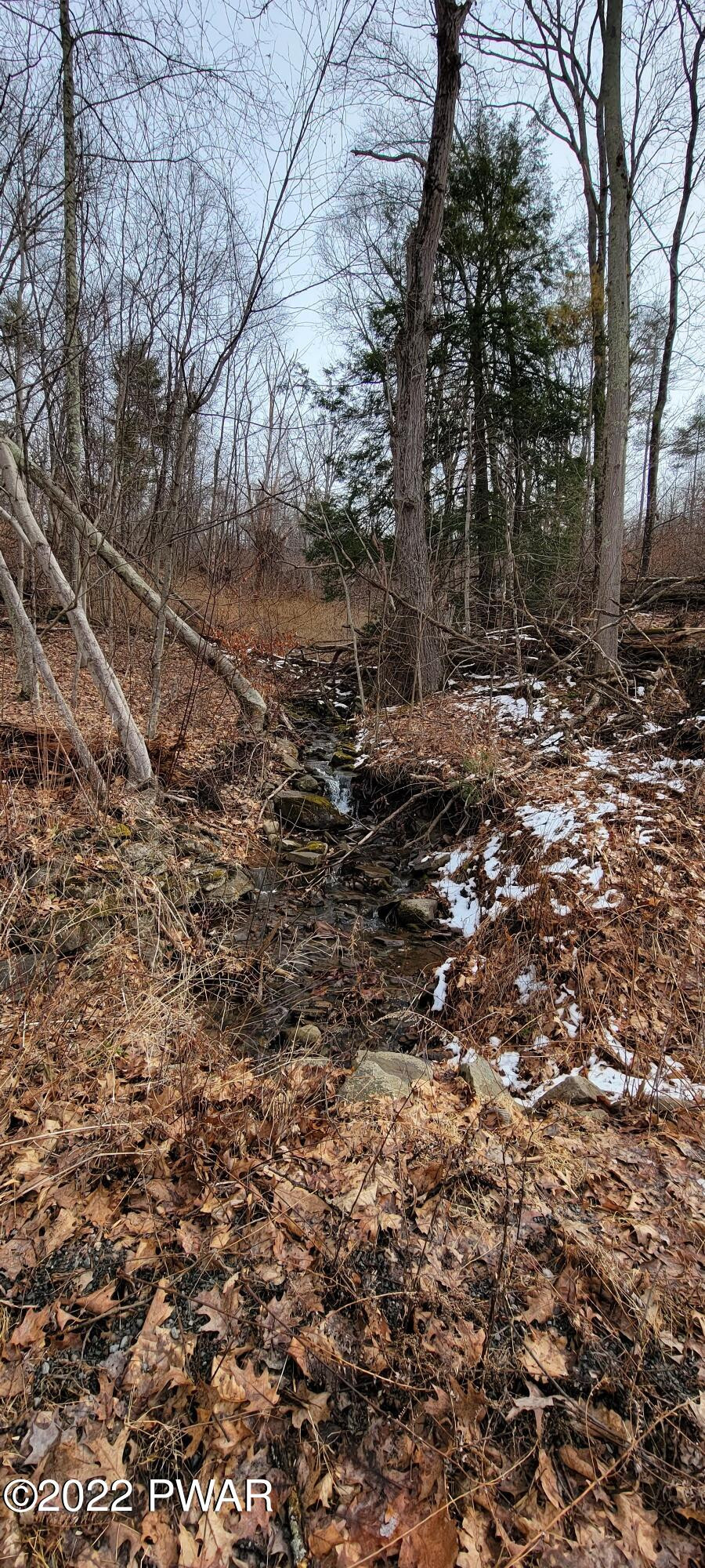 Lot 5.2 Humphrey Road Narrowsburg, NY 12764 - Photo 21 of 51
