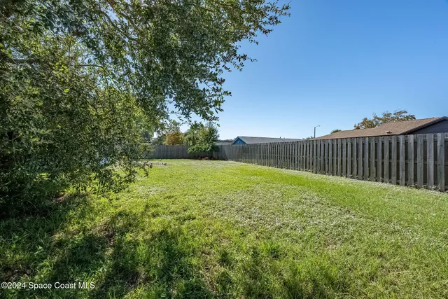 a view of a backyard with a tree