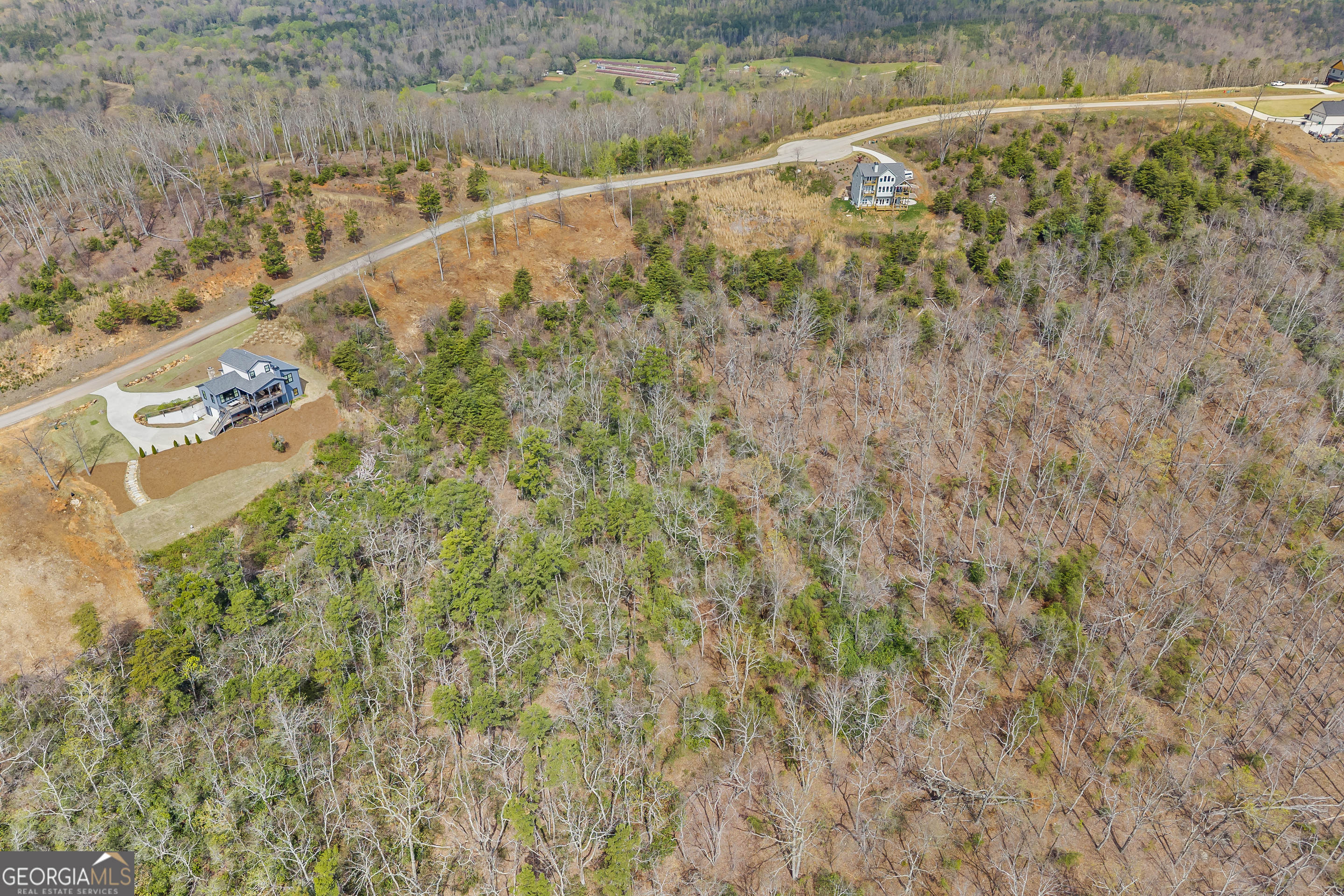 Lot 36 Mountain Ridge Drive Clarkesville, GA 30523 - Photo 37 of 53
