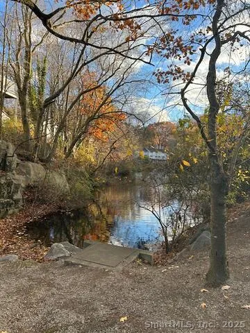 a view of a yard with a tree