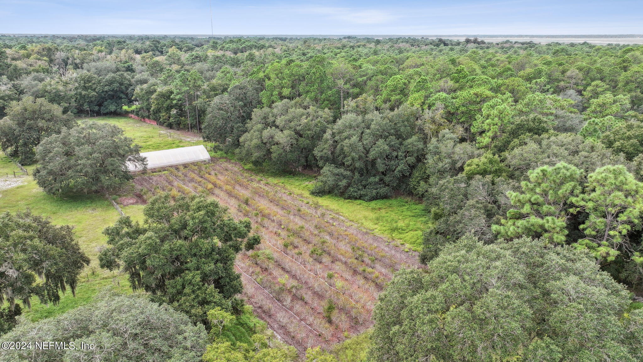 85006 Crews Road Fernandina Beach, FL 32034 - Photo 46 of 50 Photo 46