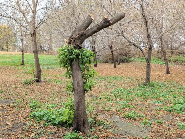 $325,000 | 22598 700th Avenue, Albert Lea, MN 56007