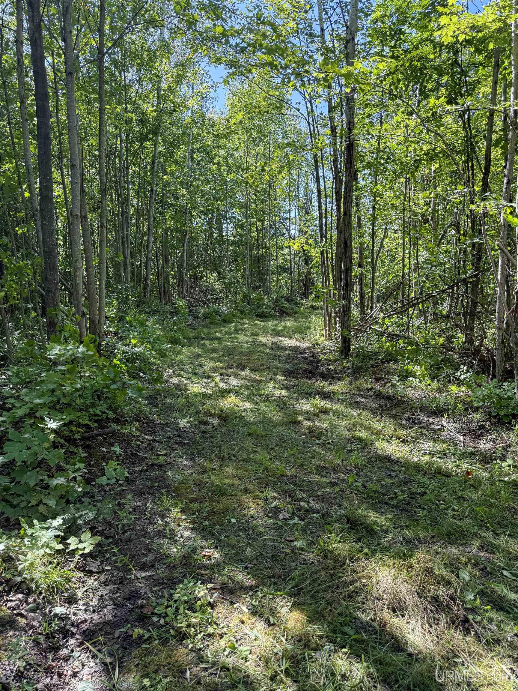 Lot 2 Off Hwy M-64 Road Ontonagon, MI 49953 - Photo 2 of 37