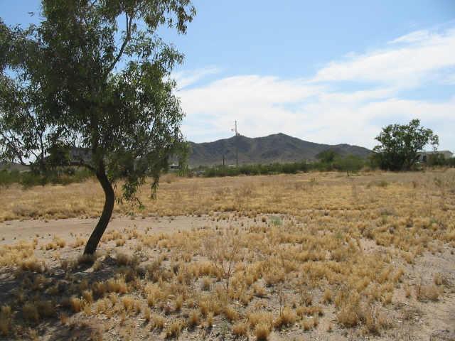 0 North Allegro Road, Unit D Maricopa, AZ 85139 - Photo 1 of 4 Primary Photo