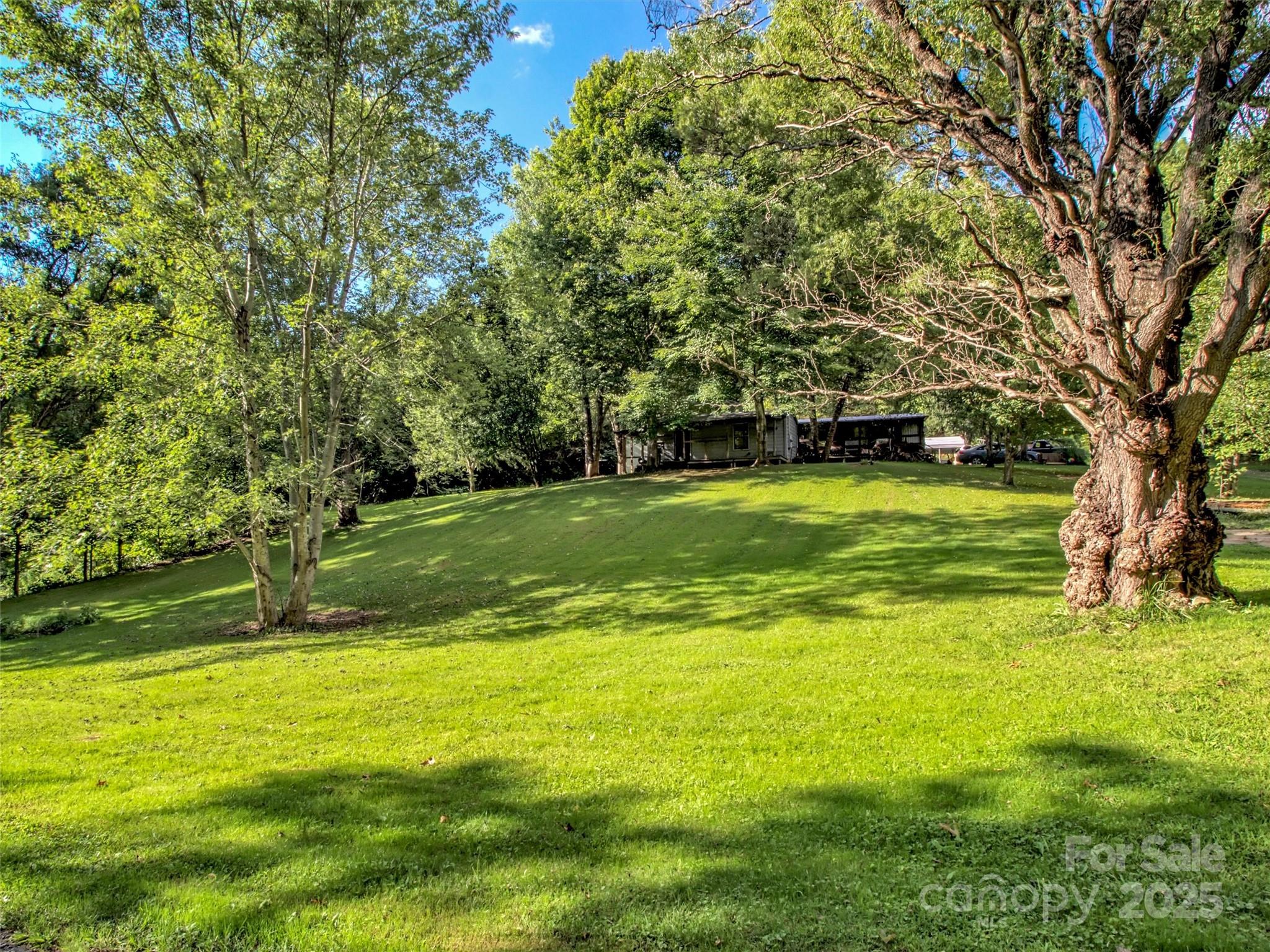 323 Jody Cove Road Canton, NC 28716 - Photo 6 of 28