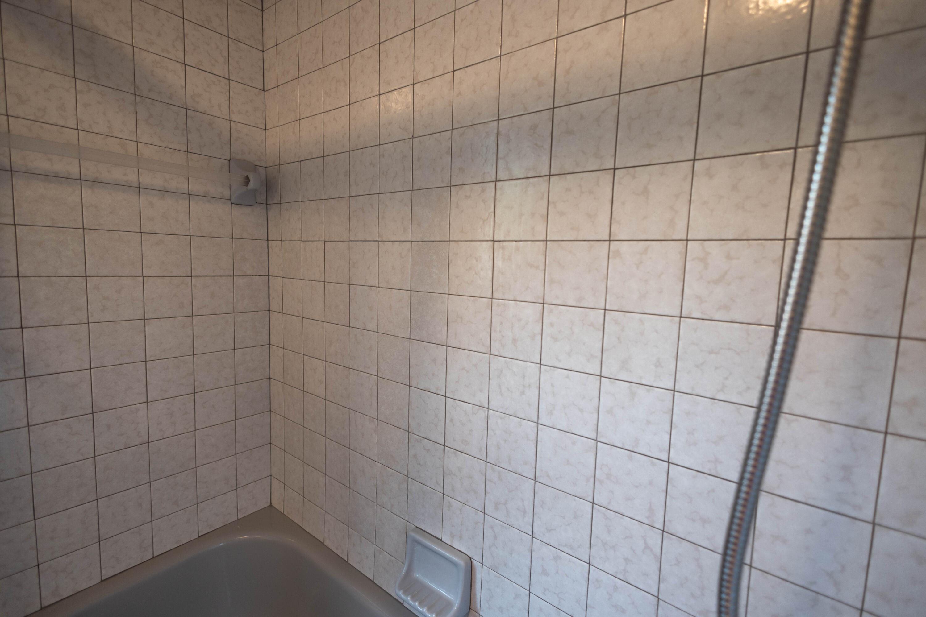 17 North Holcomb Road Clarkston, MI 48346 - Photo 45 of 54 Main Tiled Tub/Shower