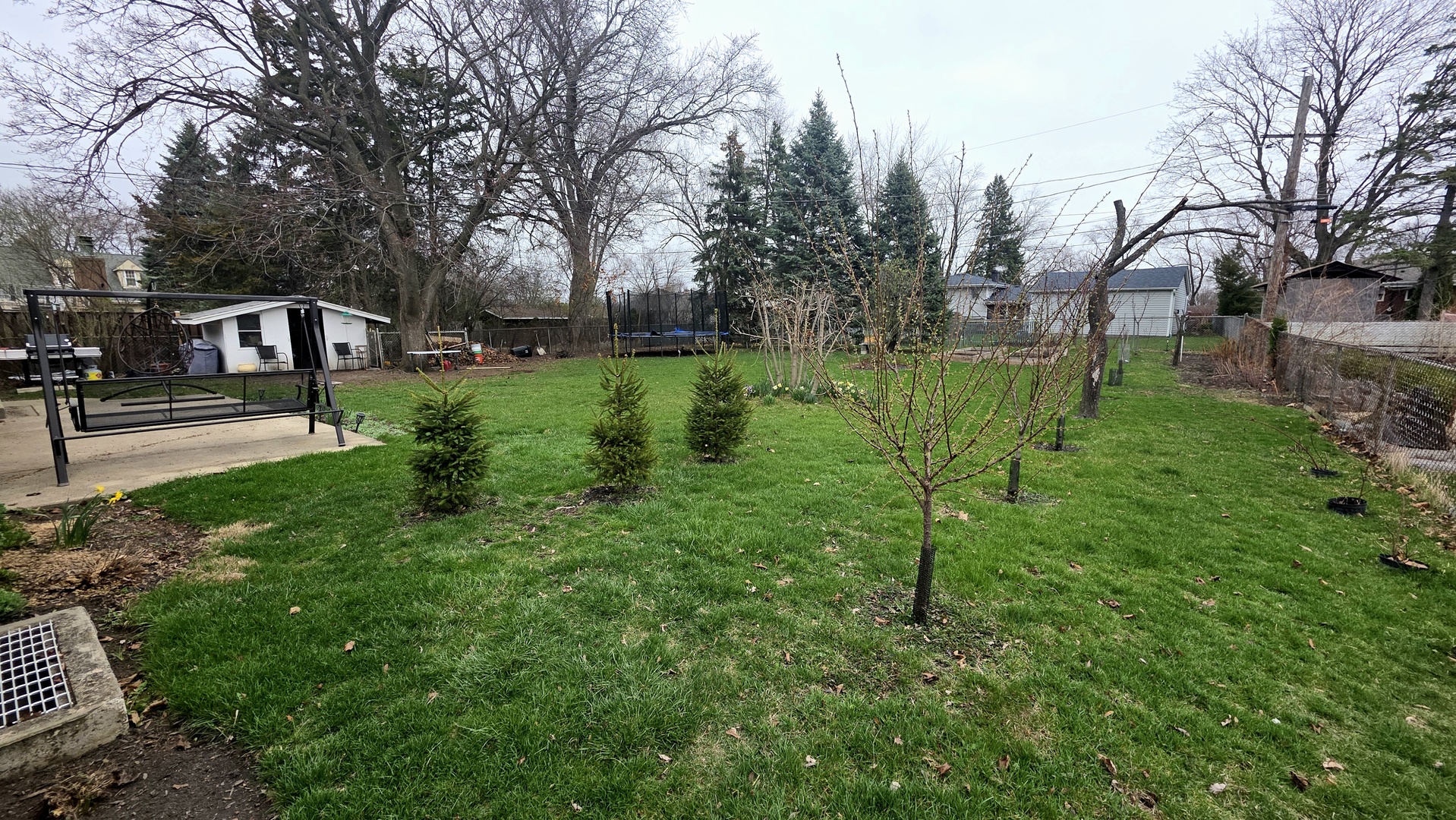 431 Springhill Drive Roselle, IL 60172 - Photo 25 of 29