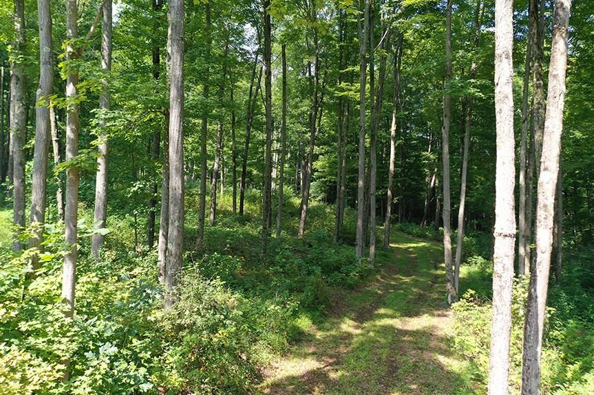 0 Covered Bridge Road Rockwood, PA 15557 - Photo 3 of 23 Gallery Image 3