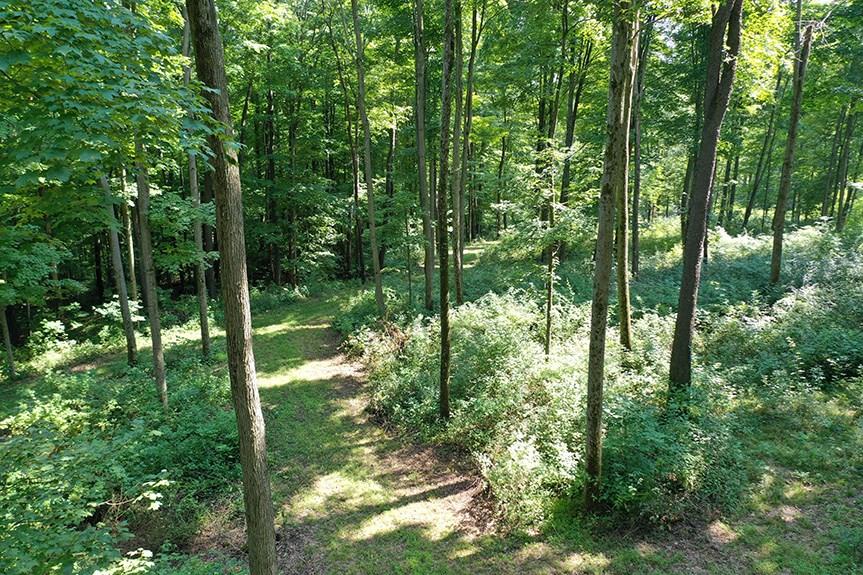 0 Covered Bridge Road Rockwood, PA 15557 - Photo 8 of 23 Gallery Image 8