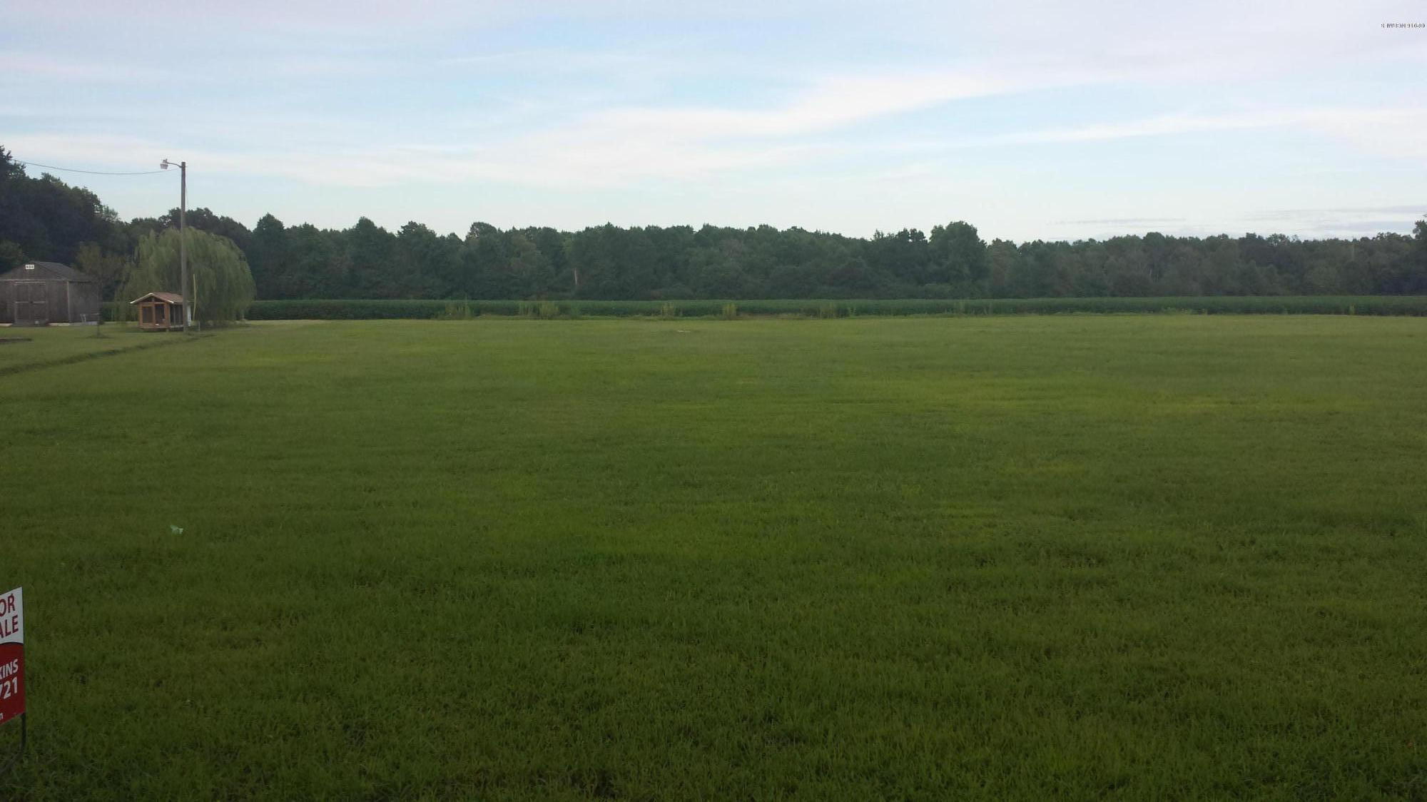 3563 Cobb Dail Road Farmville, NC 27828 - Photo 1 of 1 lot 3 hillview