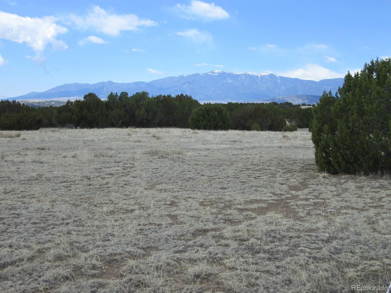102 Sikes Ranch Rye, CO 81069 - Photo 4 of 24 a view of lake