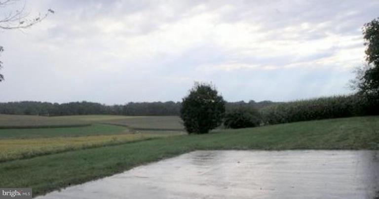 1235 Heaps Road Street, MD 21154 - Photo 7 of 16 Pasture