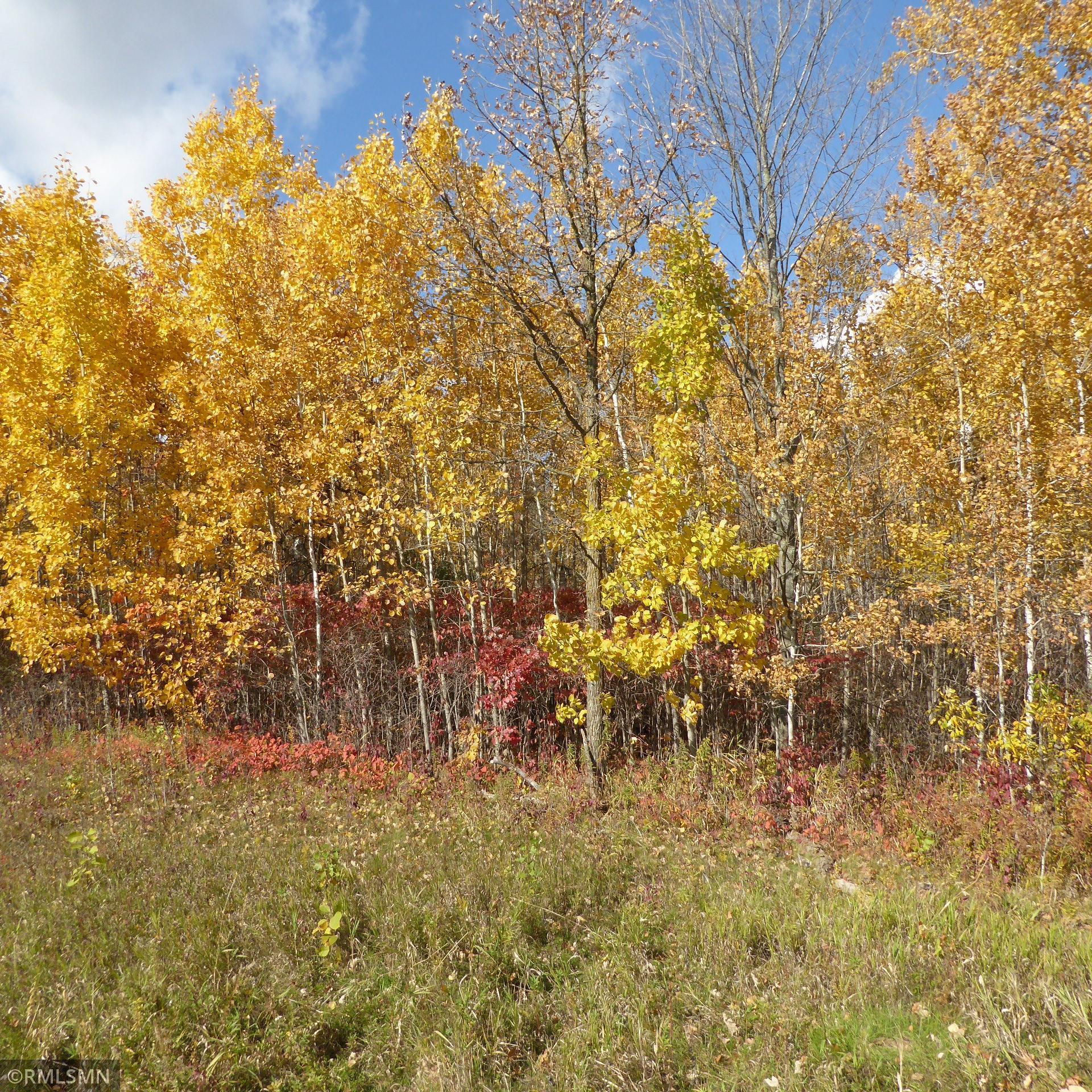 Xx Dahl Road Hinckley, MN 55037 - Photo 1 of 1 Gallery Image 1