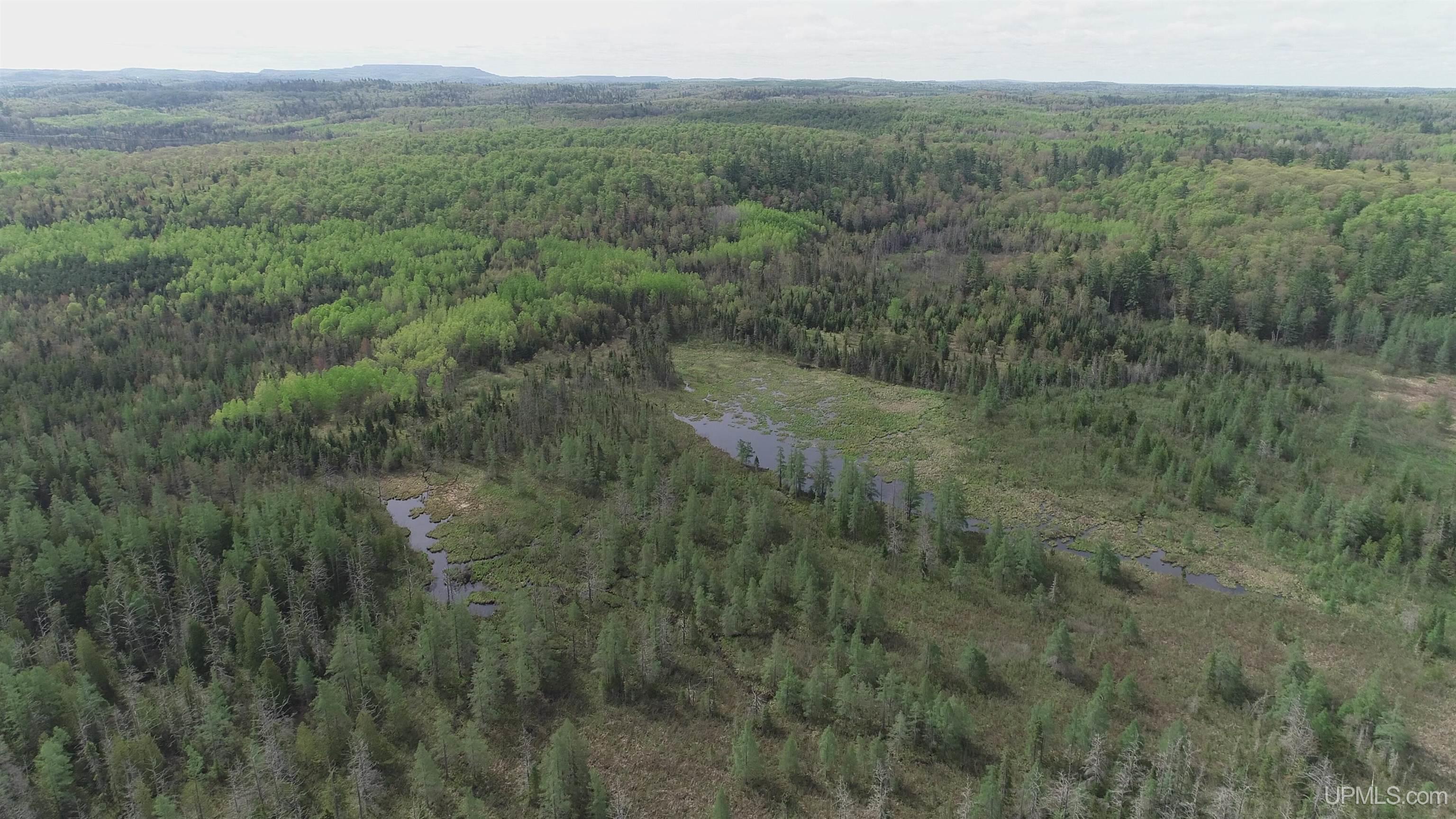 280-acres County Road CCN Road Negaunee, MI 49866 - Photo 7 of 48