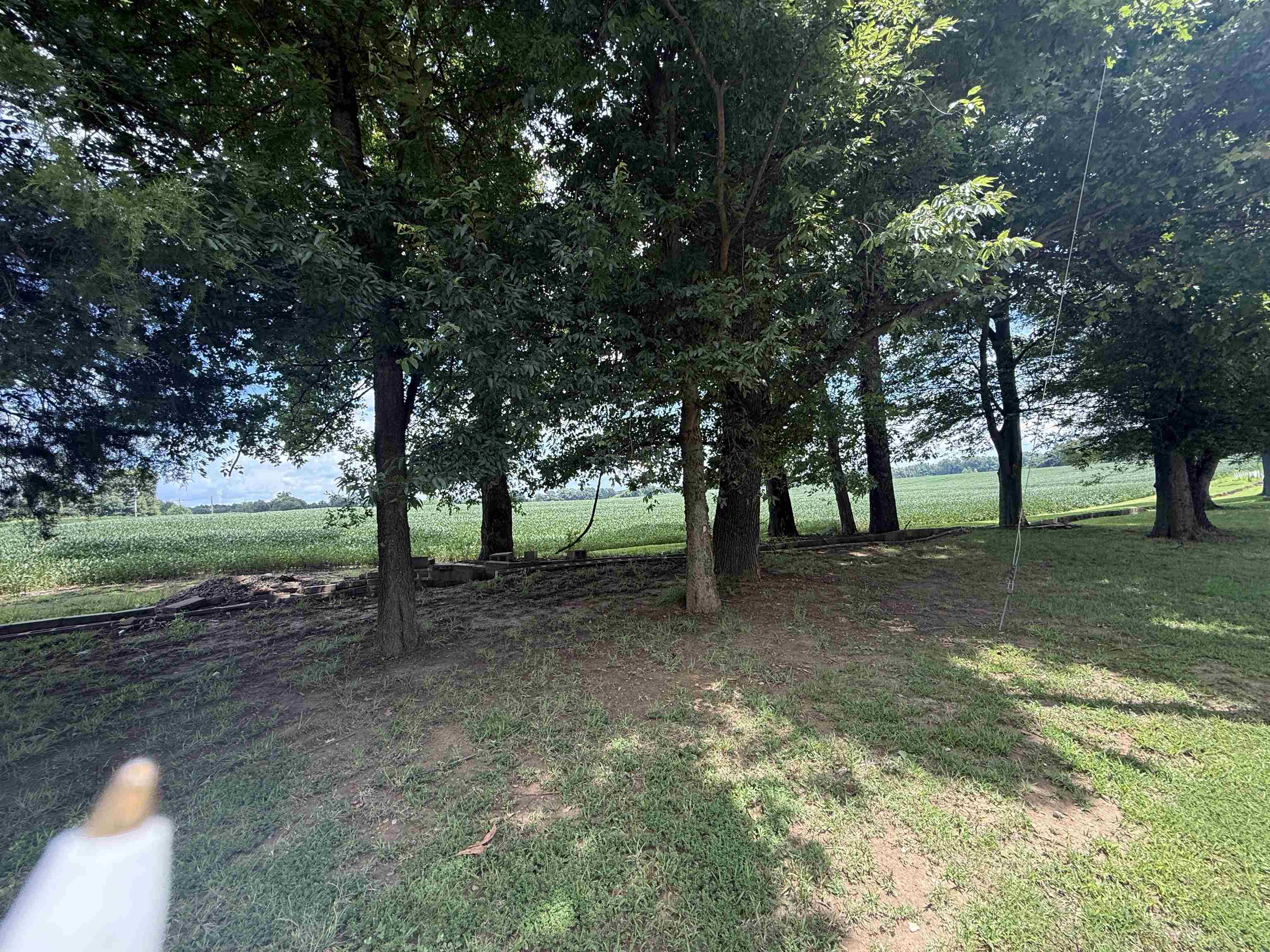 2201 Robert Johnson Road Covington, TN 38019 - Photo 12 of 25 Image quality insufficient for description