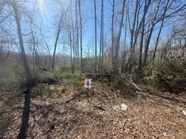 $29,000 | 2 Hwy 22a Highway, Jacks Creek, TN 38347